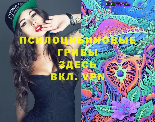 альфа пвп Новозыбков