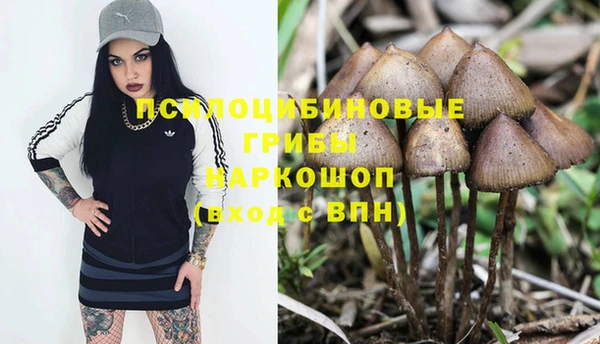 СК Абдулино
