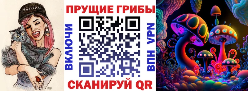 наркотики  Тетюши  Галлюциногенные грибы мицелий 